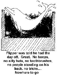 Flipper was told he had the day off. Great. No hoops, no silly hats, no toothbrushes, no people standing on his back, no tricks ... nowhere to go.