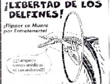 July 4th World Day for Captive Dolphins Chile