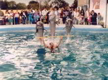 Flamingoland