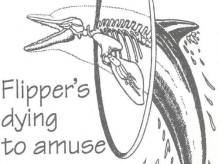 Flipper's dying to amuse you