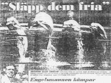 July 4th World Day for Captive Dolphins Sweden 1994