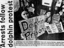 July 4th World Day for Captive Dolphins Napier