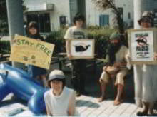 Japan 1998 World Day for Captive Dolphins