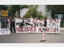 July 4th World Day for Captive Dolphins Vancouver