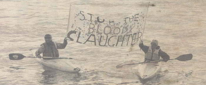 Shark Fishing protest in Looe, Cornwall