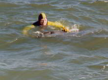 Freddy the dolphin