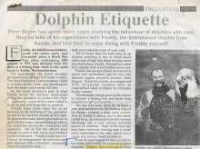 Dolphin Etiquette