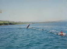 Funghie the dolphin and Andrew