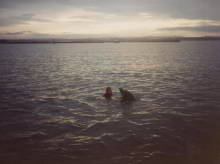 Funghie the dolphin and Andrew