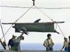 A dolphin is selected and saved from slaughter and sold to the slaughter of dolphinaia