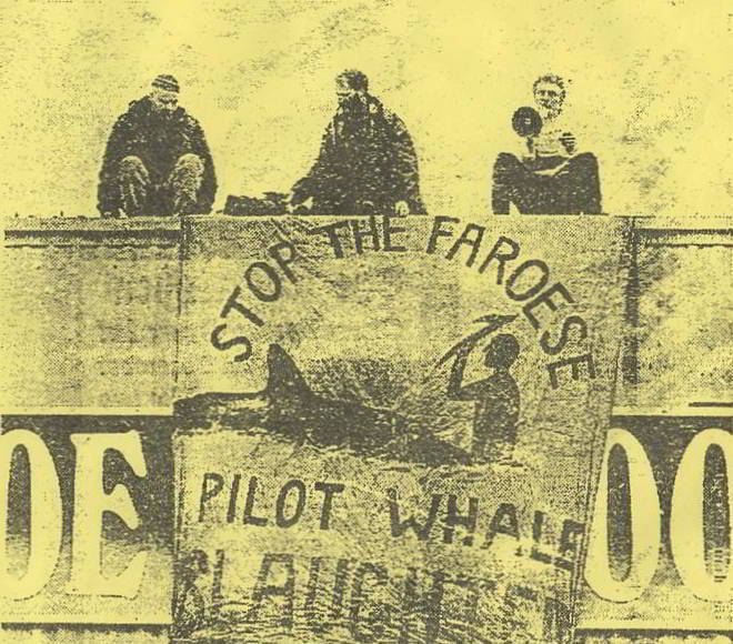 Grimsby demo, Faroe Sea Food company factory roof