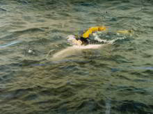 swimming passed Freddy