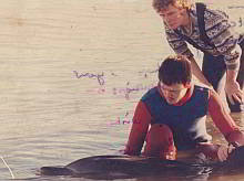 Stranding of a striped dolphin