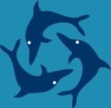 jumping dolphins